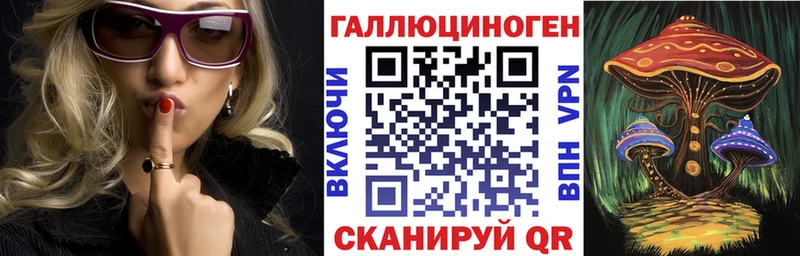 Галлюциногенные грибы Psilocybe  Малая Вишера 